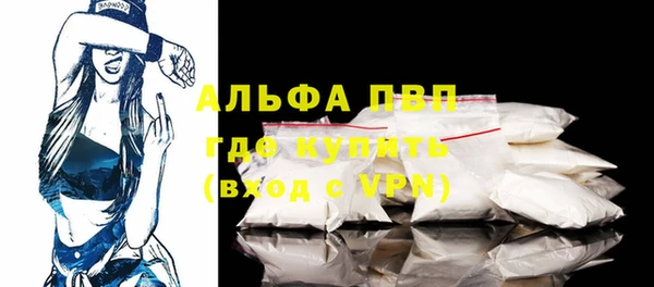 соль ск Вяземский