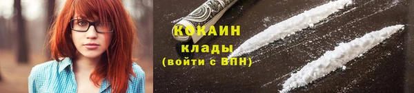 соль ск Вяземский