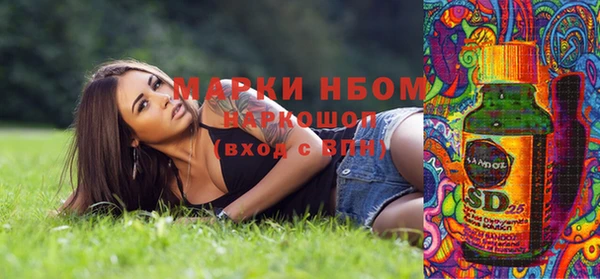соль ск Вяземский