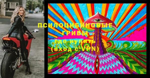соль ск Вяземский