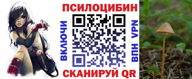 как найти закладки  Дальнереченск  Галлюциногенные грибы ЛСД 