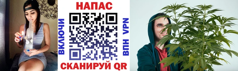 Шишки марихуана MAZAR  MEGA   Дальнереченск 